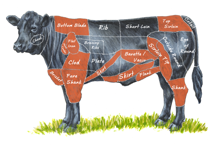 cow