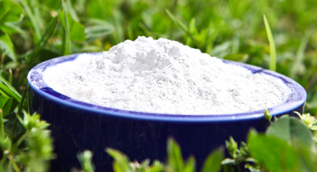 Arrowroot Powder